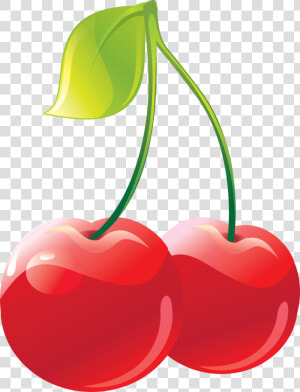 Cherry Clipart Png   Cherry Png Clipart  Transparent Png