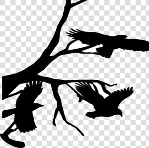 Three  Crows  Raven  Flying  Branch  Branches  Bird   Crow On Branch Silhouette Png  Transparent Png