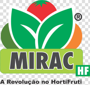 Feliz Natal E Próspero Ano Novo   Nutrition  HD Png Download