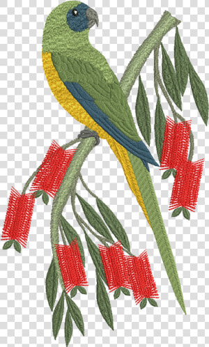 Machine Embroidery Designs   Png Download   Motif Design On Parrot  Transparent Png