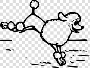 A Poodle   Poodle Png Jump Outline  Transparent Png