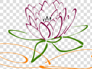 Drawn Lotus Vector   Lotus Flower Drawing Free  HD Png Download