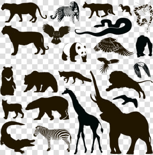 Silhouette Animal Wildlife   Wild Animal Silhouettes Free  HD Png Download