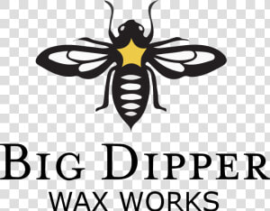 Big Dipper Wax Works Logo   Net winged Insects  HD Png Download