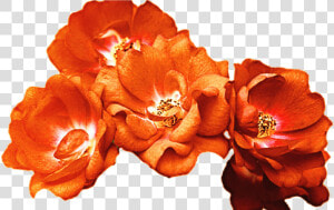 15 Red Flower Crown Png For Free Download On Mbtskoudsalg   Orange Flower Crown Png  Transparent Png