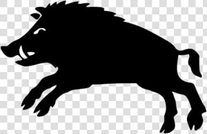 Boar Png  Transparent Png