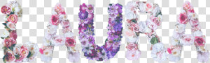  laura  floral  sticker  arrangement  name  freetoeditremix   Artificial Flower  HD Png Download