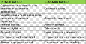 Asignaturas Grado Medio Atencion A Personas En Situacion  HD Png Download