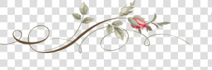 Arabesco Vector Shapes   Floral Arabescos Png  Transparent Png