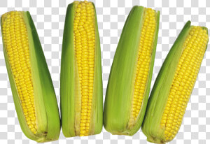 Maize  HD Png Download