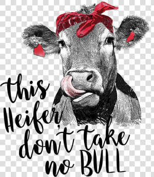 Heifer Don T Take No Bull  HD Png Download