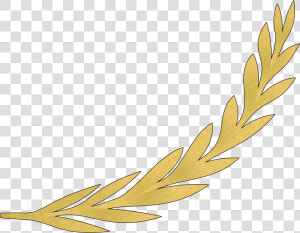 Gold Olive Branch Png   Gold Olive Branch Clip Art  Transparent Png