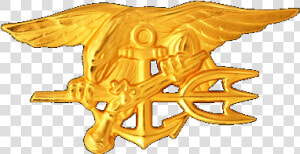 Us Navy Seal   Seal Team 6 Trident  HD Png Download