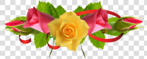 Yellow Rose Flower Free Png Transparent Images Free   Flower Images Hd Rose Png  Png Download