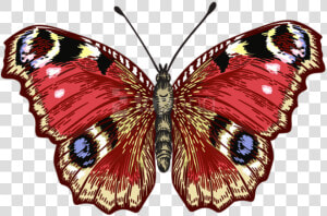 Red Butterfly Png   Brush footed Butterfly  Transparent Png