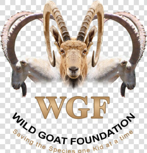 Logo Design By M79 For Wild Goat Foundation   Mountain Goat  HD Png Download