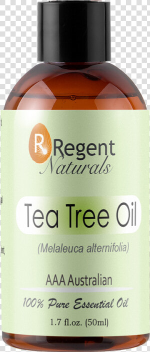 100  Pure Tea Tree Oil 50ml   Glass Bottle  HD Png Download