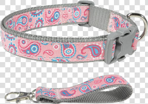 Spring Bloom Timeless Iconic Paisley Baby Pink Dog   Strap  HD Png Download