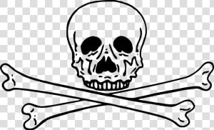 Skull And Crossbones Clip Art   Skull And Cross Bones Png  Transparent Png