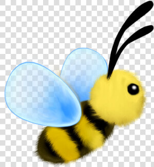 Honeybee  HD Png Download