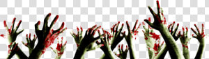 Zombie Hand Png   Zombie On Clear Background  Transparent Png