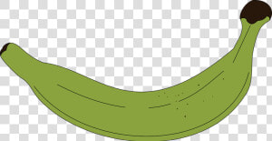 Vector Swirl Clipart Banana   Platano Verde Dibujo Png  Transparent Png