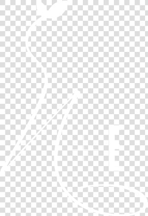 Icon White   Jhu Logo White  HD Png Download