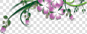 Garland Clipart Plant   Cooktown Orchid  HD Png Download