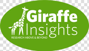 Giraffe Insights  HD Png Download