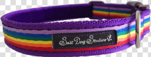 Purple Rainbow Ribbon Dog Collar   Belt  HD Png Download