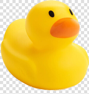 Rubber Duck Png Photo   Rubber Duck Png Transparent  Png Download