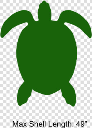 Transparent Green Sea Turtle Clipart   Green Sea Turtle  HD Png Download