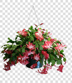 Funeral Flower Arrangements Png  Transparent Png