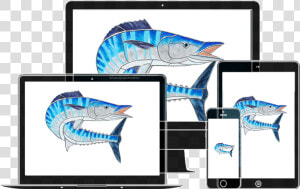 Class Img Responsive Animated Zoominup Animation Delay   Sailfish  HD Png Download