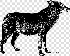 Lone Wolf Clip Arts   Public Domain Wolf Vector  HD Png Download