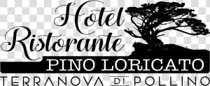 Hotel Pino Loricato   Tree  HD Png Download