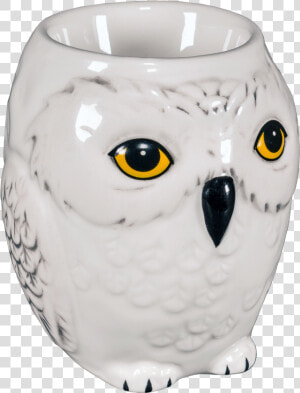 Hedwig Png  Transparent Png