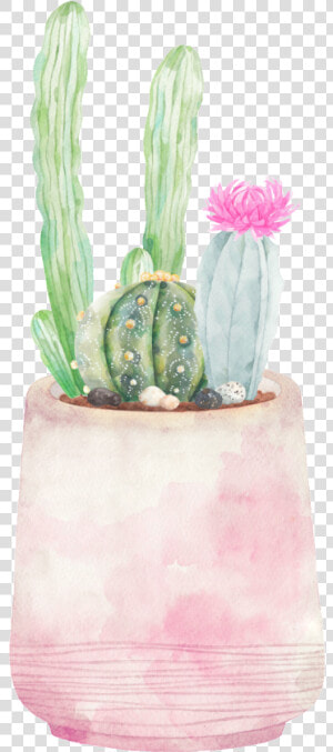 Hand painted Three Varieties Of Cactus Png Transparent   San Pedro Cactus  Png Download