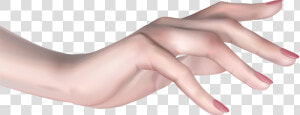 Hand Clipart Arm   Female Hand Png  Transparent Png