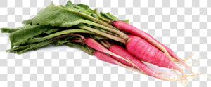 Transparent Radish Png   Shunkyo Radishes  Png Download