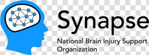 Synapse National Organization Logo  HD Png Download