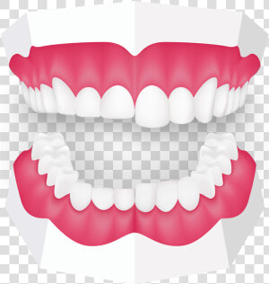 Tooth Grinding Toothbeary   Mouth Guard Clipart  HD Png Download