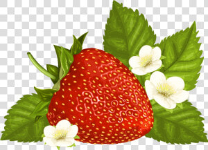 Strawberry Png Clipart Image   Strawberries Graphic Free Transparent  Png Download