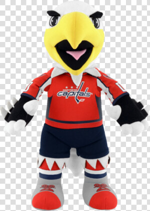 Washington Capitals  HD Png Download