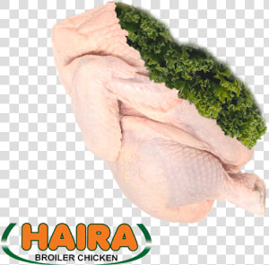 Products   Boneless Skinless Chicken Thighs  HD Png Download