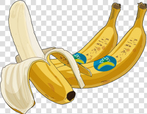 Platano Drawing  HD Png Download