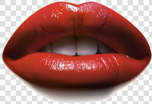 Lips Download Transparent Png Image   Realistic Lips Transparent Background  Png Download