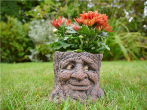 Flowerpot  HD Png Download