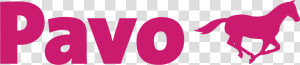 Logo Pavo   Pavo Feed Logo Png  Transparent Png