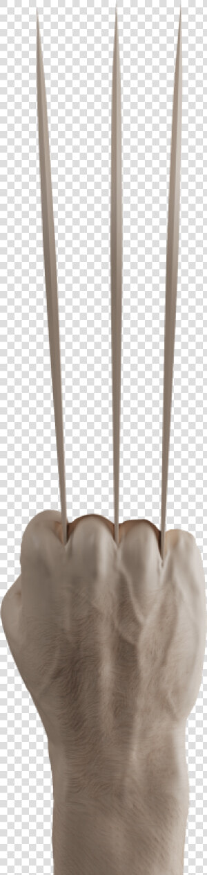 Wolverine Claws Png   Grass  Transparent Png